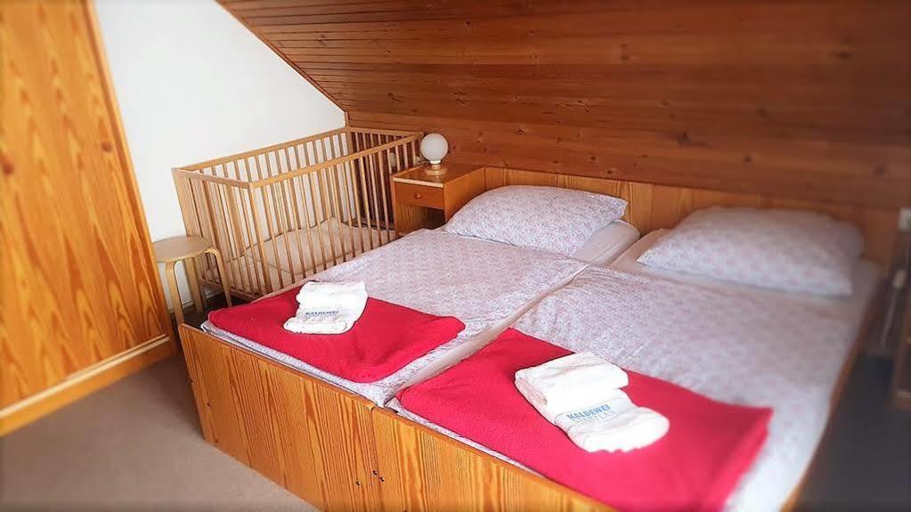 Penzion Vila Bistrica Bohinjska Bistrica Exterior foto